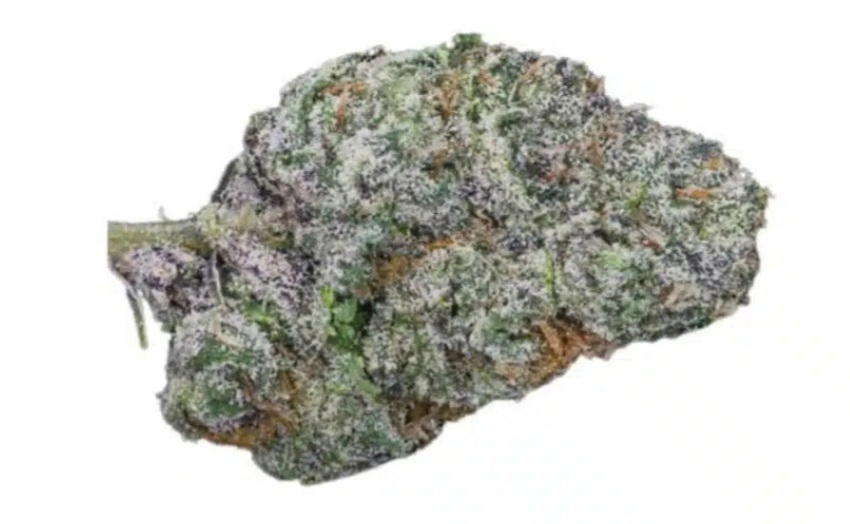 Blue Nerdz (EXCLUSIVE)