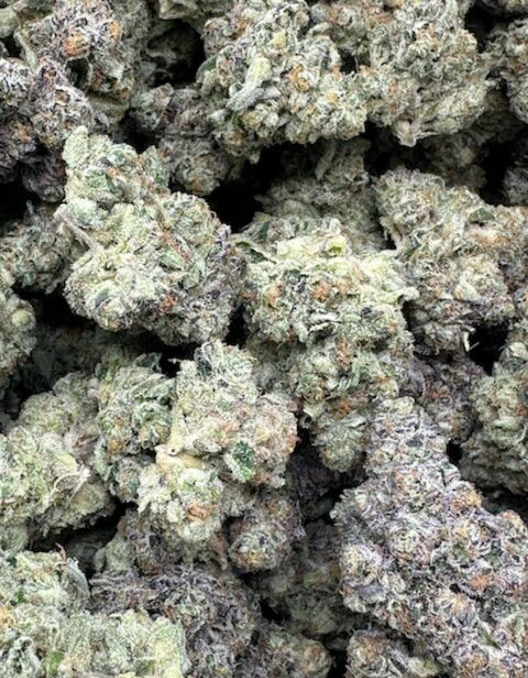 Candy Kush (EXCLUSIVE)