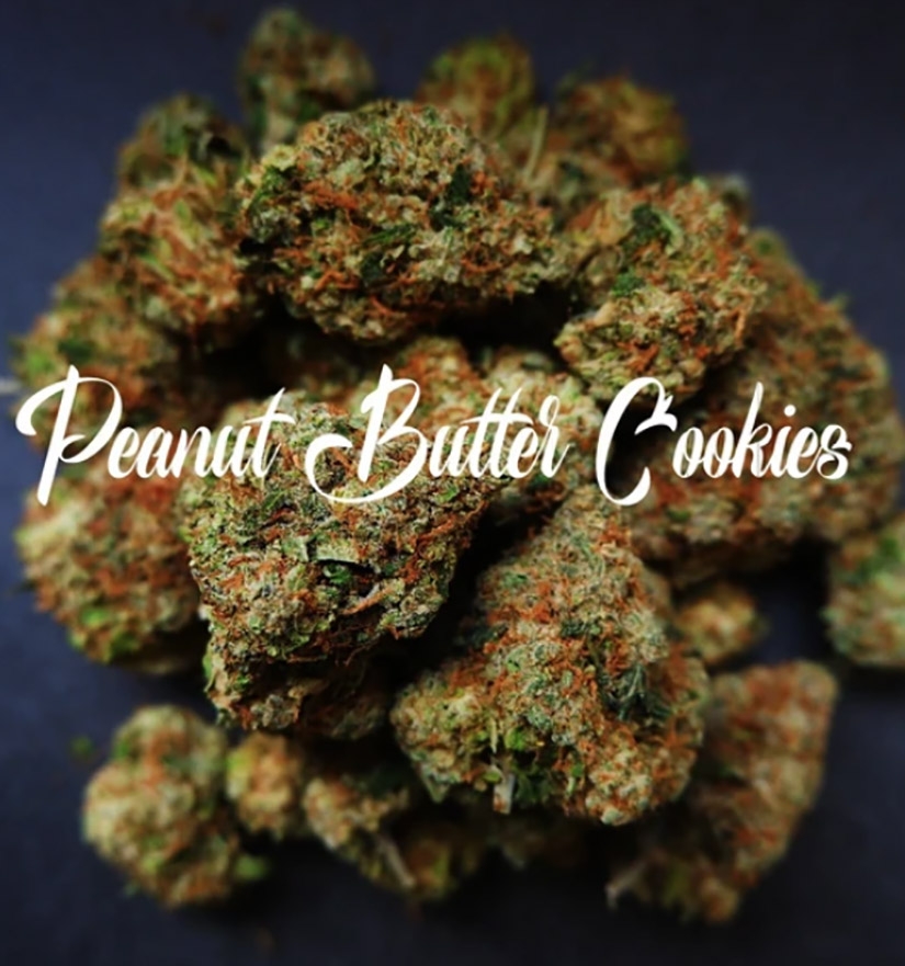 Peanut Butter Cookies (EXCLUSIVE)