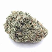 Casino Kush (EXCLUSIVE) 3.5 Grams Indica THC 29.03% CBD .19% 