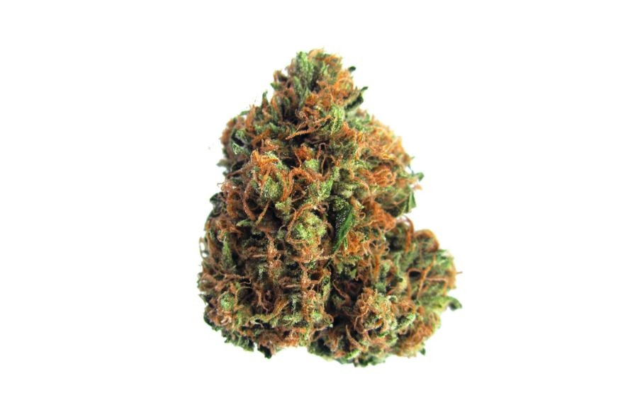 King Louis XIII OG (EXCLUSIVE) Hybrid 3.5 Grams THC 28.75% CBD 0.62%