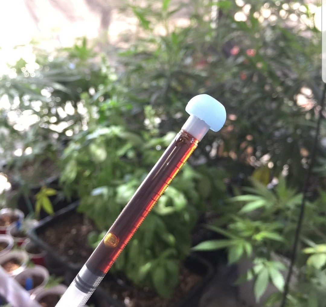 Rick Simpson Oil (RSO) Syringe 1 Gram