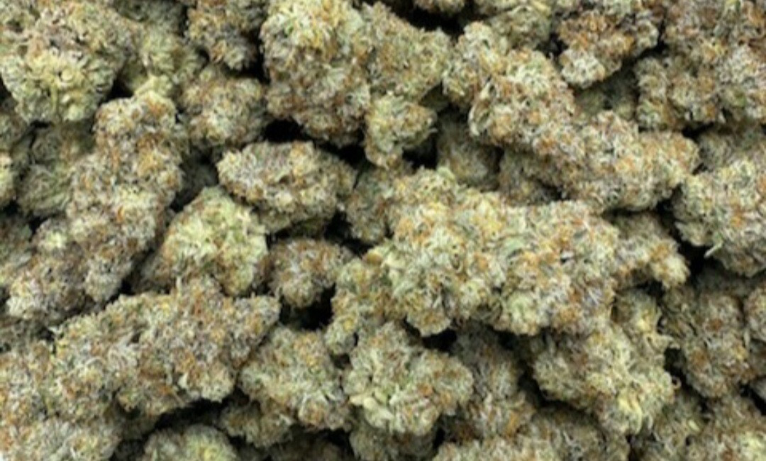 Sherbz (EXCLUSIVE) 3.5 Grams Sativa THC 27.05% CBD .57% 