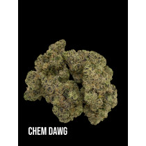 Chem Dawg (EXCLUSIVE) 3.5 Grams Hybrid THC 27.98% CBD .33% 