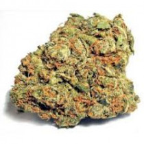 HORCHATA (EXCLUSIVE) 3.5 Grams Hybrid THC 28.09% CBD .17%