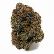 Midnight Runtz (EXCLUSIVE) 3.5 Grams Sativa THC 25.05% CBD .87% 