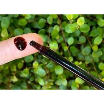 Rick Simpson Hemp Oil (RSHO) Syringe 1 Gram