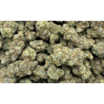 Sherbz (EXCLUSIVE) 3.5 Grams Sativa THC 27.05% CBD .57% 