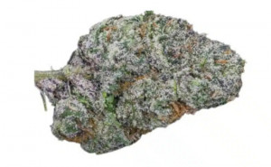 Blue Nerdz (EXCLUSIVE) 3.5 Grams Indica THC 28.59% CBD .11%