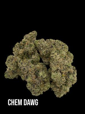 Chem Dawg (EXCLUSIVE) 3.5 Grams Hybrid THC 27.98% CBD .33% 