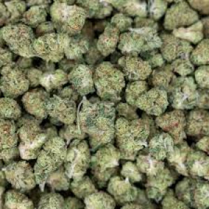 Fire OG (EXCLUSIVE) 3.5 Grams Hybrid THC 27.08% CBD .19% 